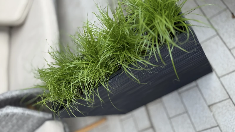 Ein neuer Hauch von Natur für Ihren Ausstellungsraum der NEO Grass Planter.